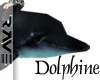 [AKZ]:DOLPHINE PALS