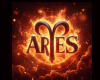 Aries bed