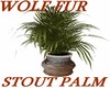 [BT]Wolf Fur Stout Palm