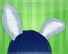 Hinata Bunny Furry Ears