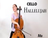 Hallelujah cello