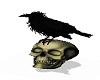 Escape Dreams skull/bird