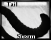 [₭] Storm  Tail