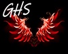 dj Light wings - GHS