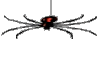 Animated Hanging Spider