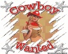 Cowboy wanted