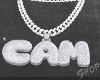 cam custom chain