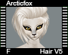 Arcticfox Hair F V5