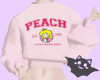 ☽ Peach Sweater