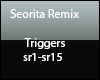 Seorita Remix
