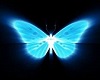 light papillon dj