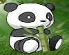 Bambo Panda