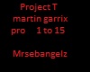 project T Garrix