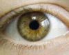 Male Eyes 