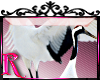 *R* Stork Birds Enhancer