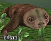 Sweet Sloth