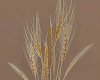𝐼𝑧.Wheat Plant