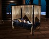 Oasis Canopy Bed/Poses