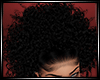 LS~ELEA CURLY BLACK