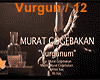 Vurgunum