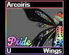 Arcoiris Wings