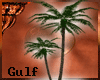 (K) Gulf Bedouin Palm/T