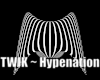 TWIK ~ Hypenation