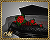 :mo: VAMP COFFIN BED