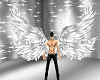 dark angel whi 4 wings
