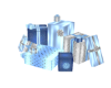 Party Gift Poses