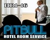 Pitbull - Hotel Room