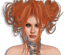 zuichan ginger