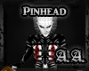 *AA* Pinhead
