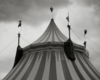 Creepy Circus 1-6