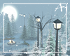 Aj* Photo Winter