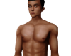 Skin V1