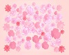 MY Pale Pink Floral Room