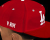 V.Roy fitted