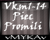 KAMERZYSTA-PIEC PROMILI