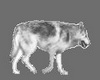 Animated Walking Wolf