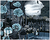 Romantic Moon Lake Night