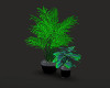 Set of Plants for Club