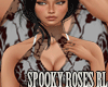 Jm Spooky  Roses RL