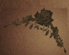 Rose Wall Deco