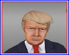 President Trump Head
