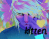 kitten m hair