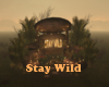 Stay Wild Ambient