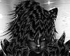 black cat fur hairs M/F