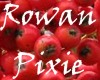 Rowan Pixie Eyes [F]