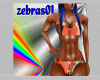 biquini culot pf colors 